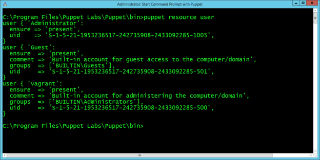 A terminal window showing user information, such as user groups and user ID, returned by the puppet resource user command.